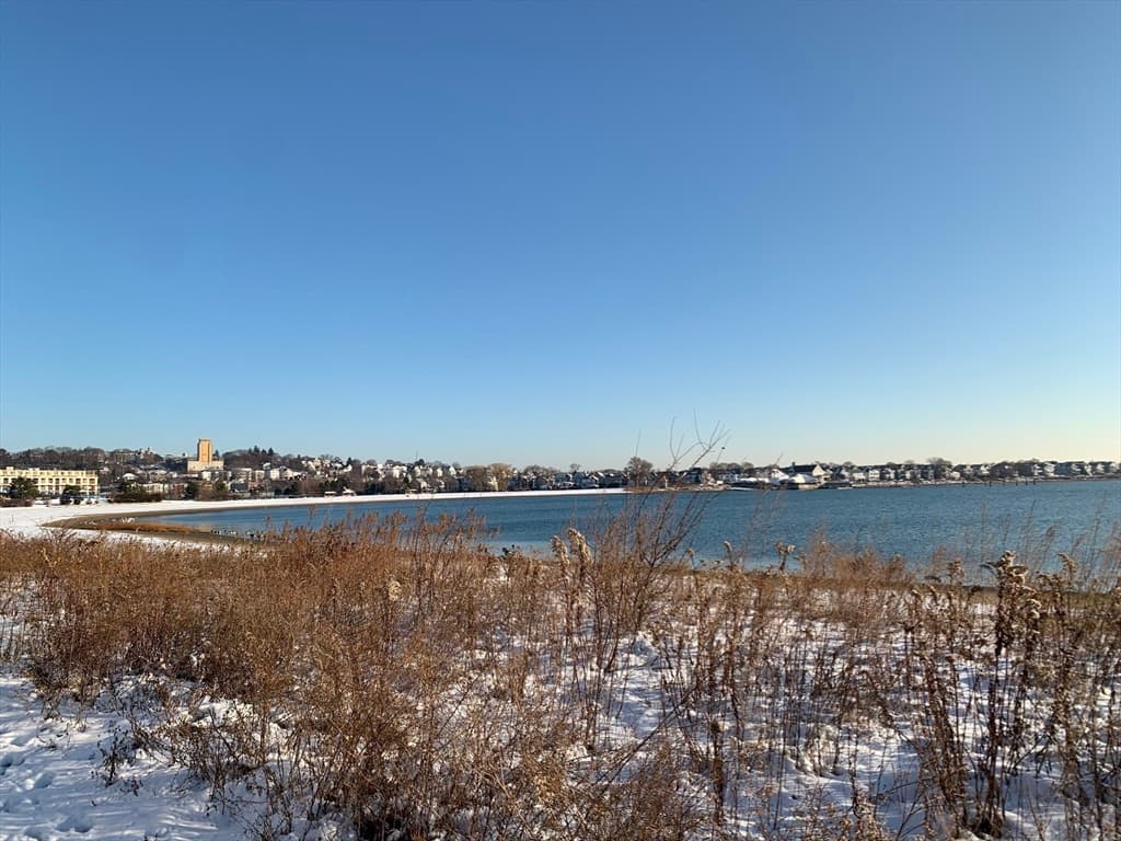 Condominium at 16 Boardman St # 204, Boston MA 02128, Boston, photo 22 of 24