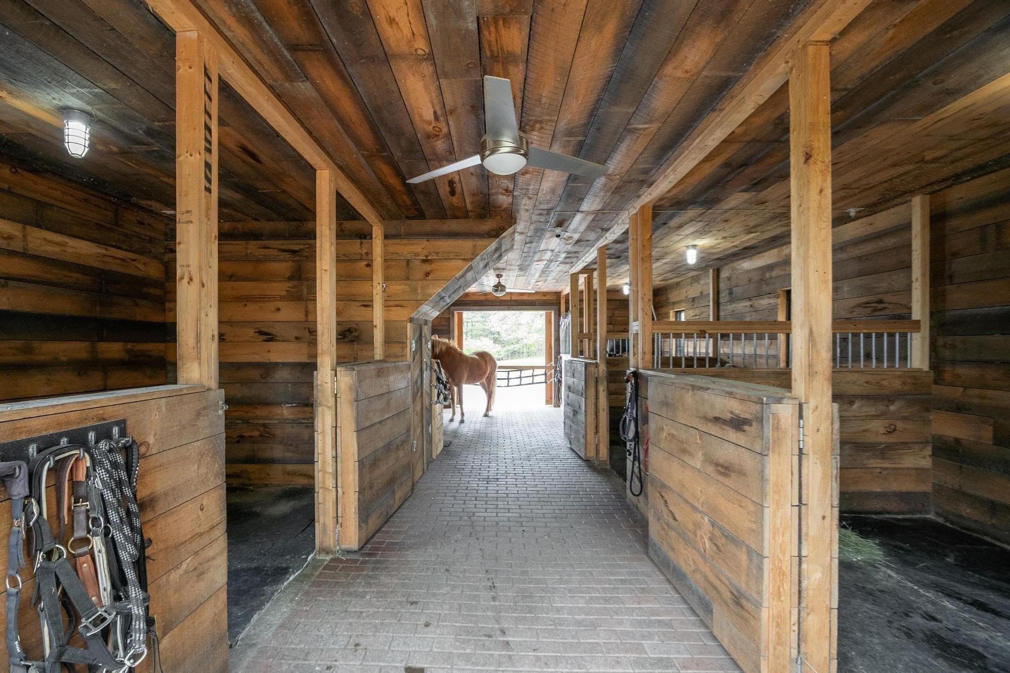 Equestrian at 41 Pinnacle Rd, Harvard MA 01451, Harvard, photo 27 of 31