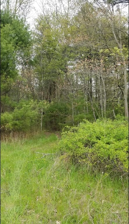 222 Dolan Circle, Taunton MA 02718 photo 13