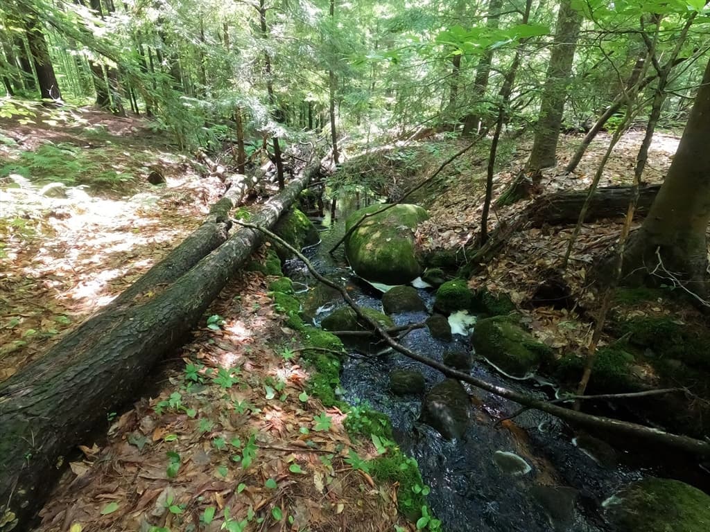Lot 21 Exchange St, Templeton MA 01468 photo 10