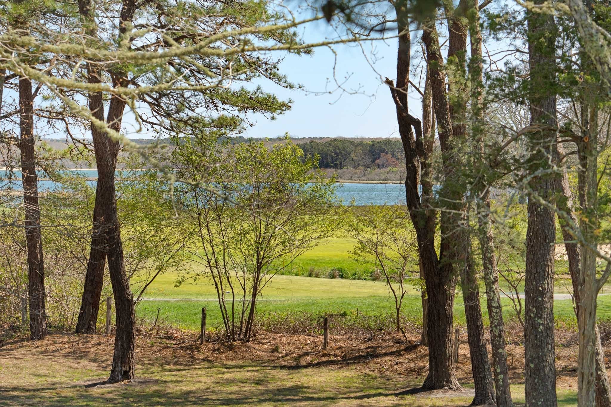 Single Family Residence at 15 Tamarack Lane, Oak Bluffs MA 02557, photo 8 of 42