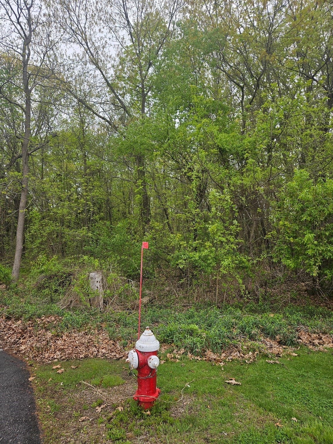 Residential at 40 Book Street, Dracut MA 01826, photo 3 of 6