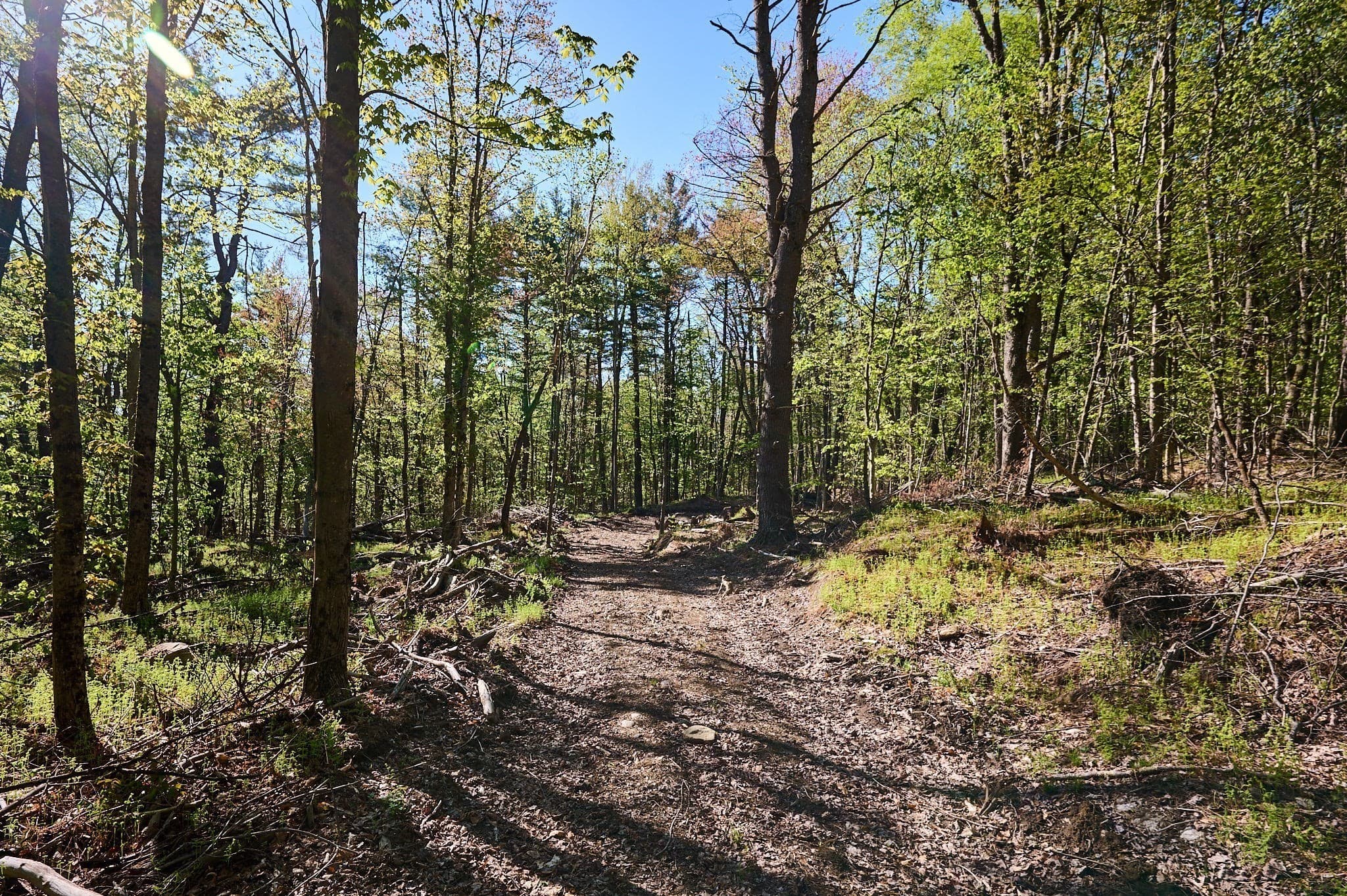 Residential at 0 Radiker, Worthington MA 01098, photo 6 of 18