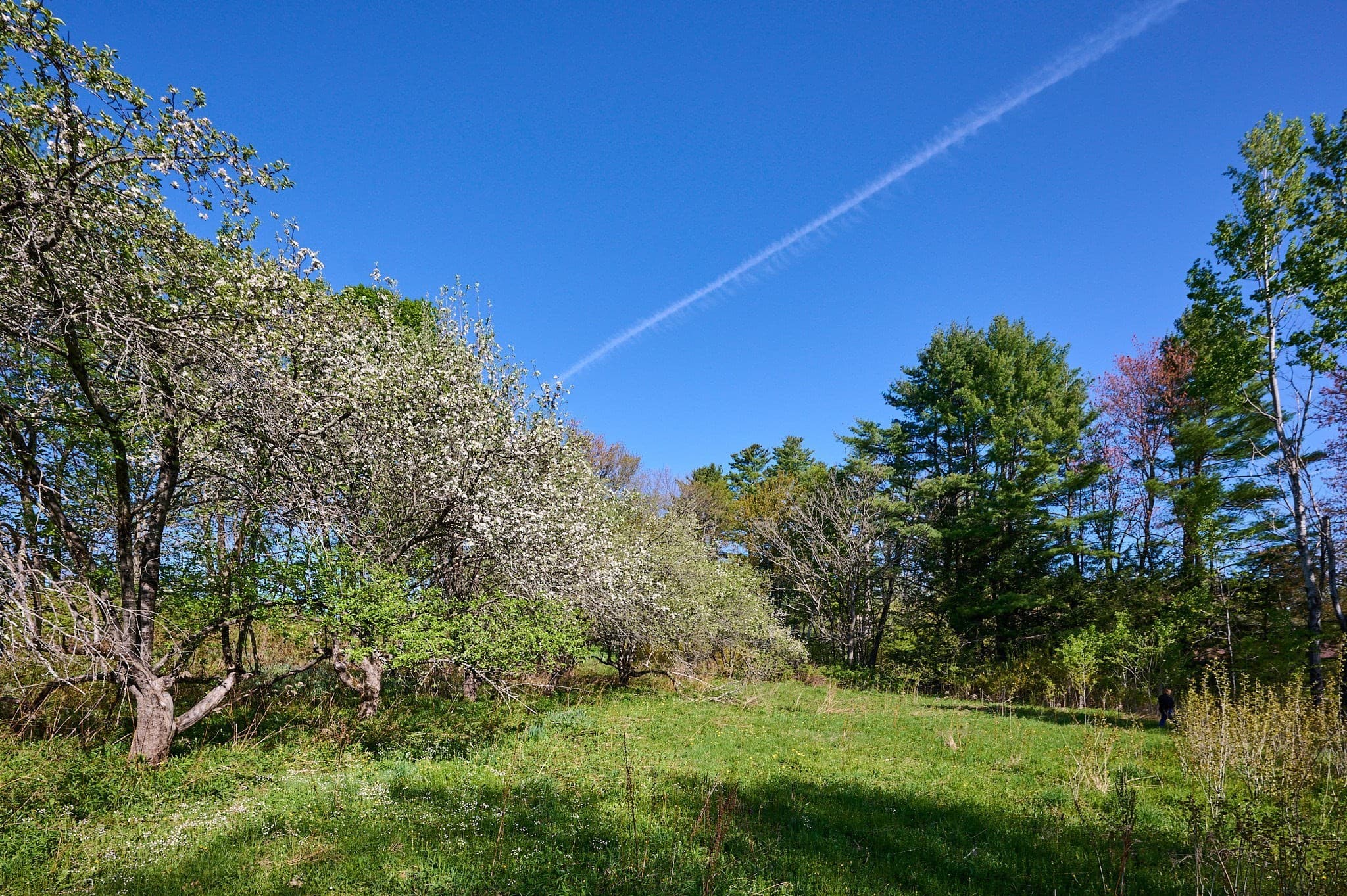 Residential at 0 Radiker, Worthington MA 01098, photo 17 of 18