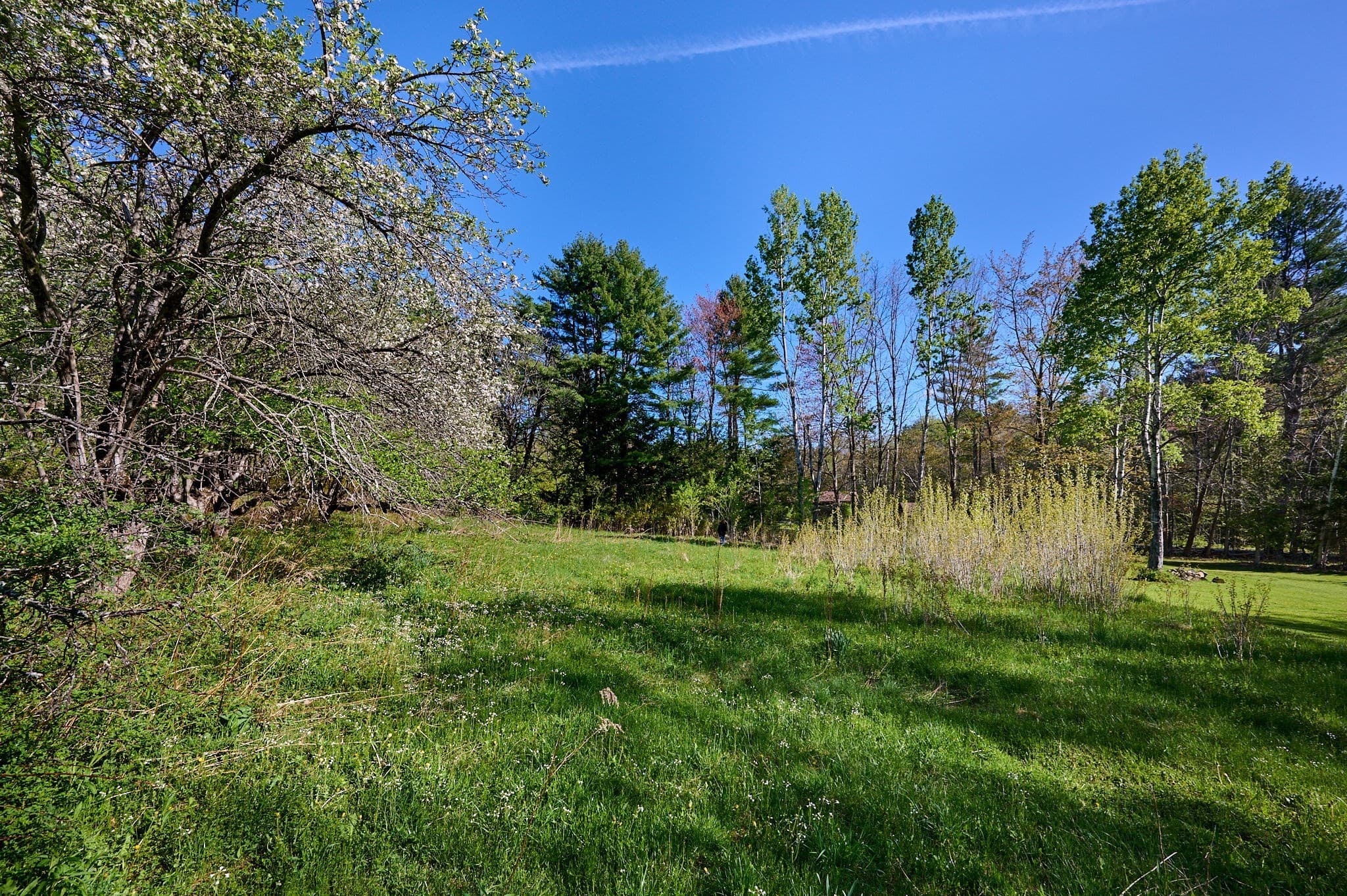 Residential at 0 Radiker, Worthington MA 01098, photo 16 of 18