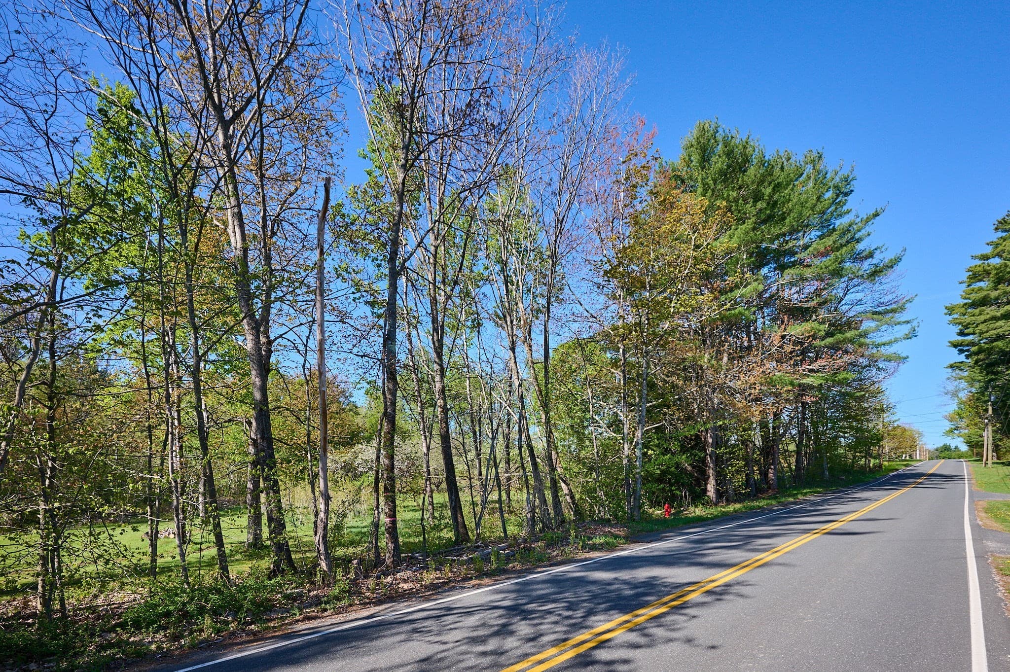 Residential at 0 Radiker, Worthington MA 01098, photo 12 of 18