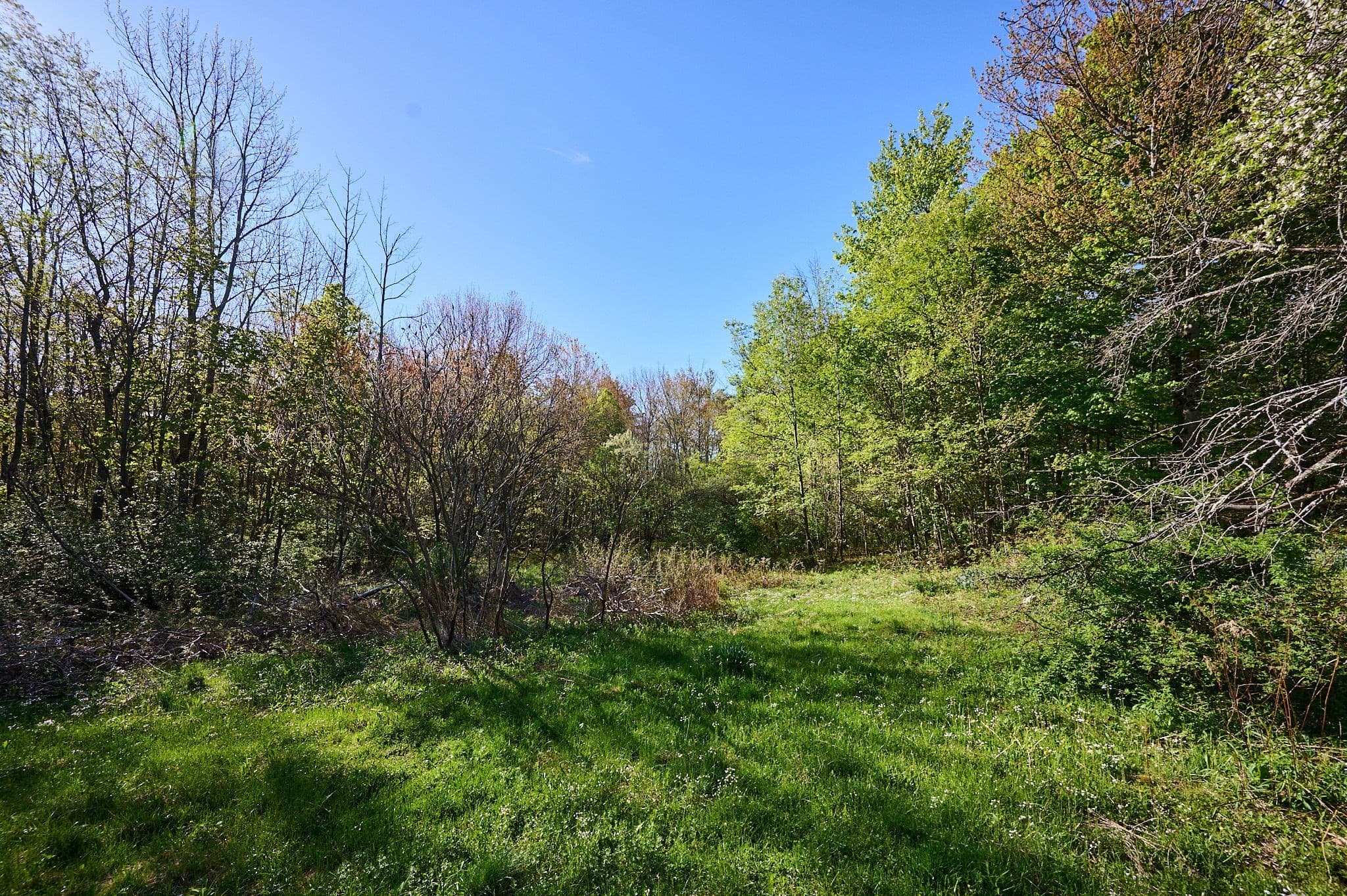 Residential at 0 Radiker, Worthington MA 01098, photo 15 of 18