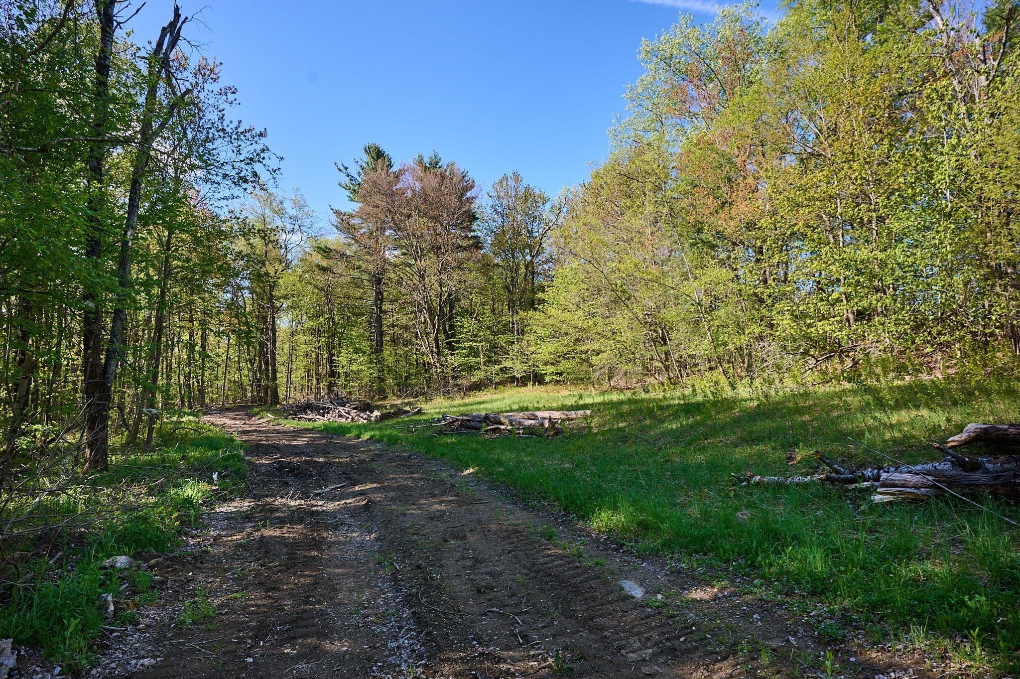 Residential at 0 Radiker, Worthington MA 01098, photo 4 of 18