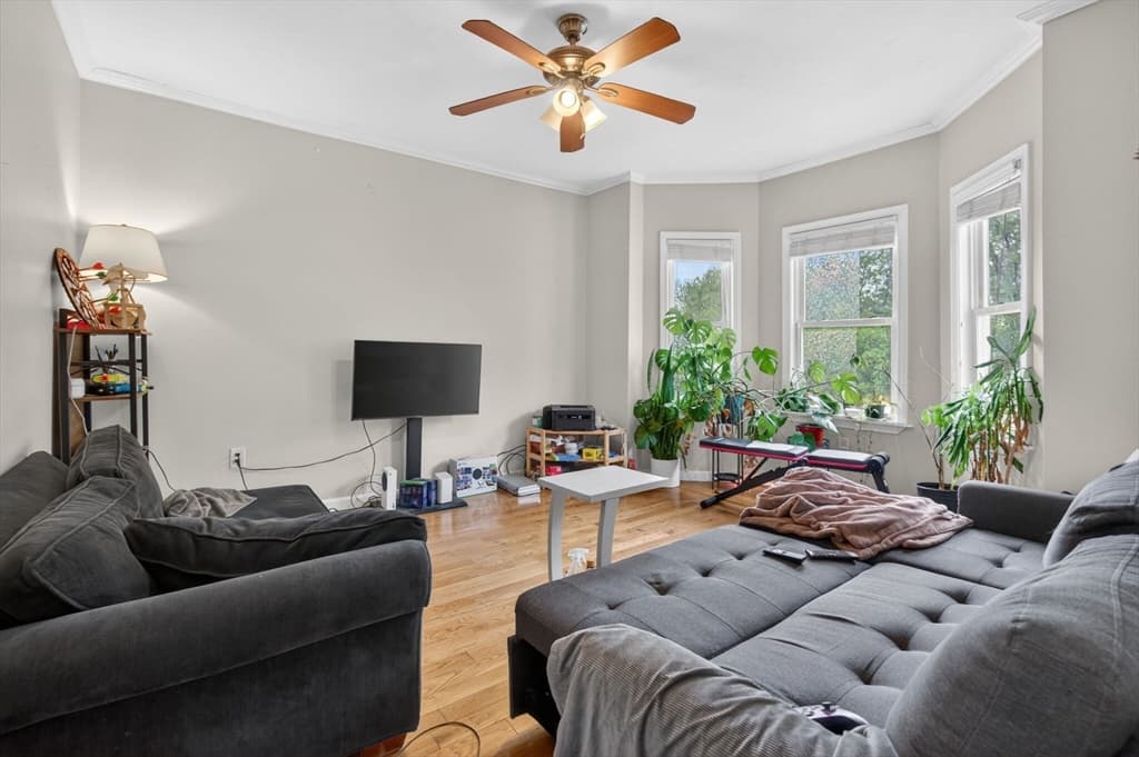 12 Schiller St, Boston MA 02130 photo 17