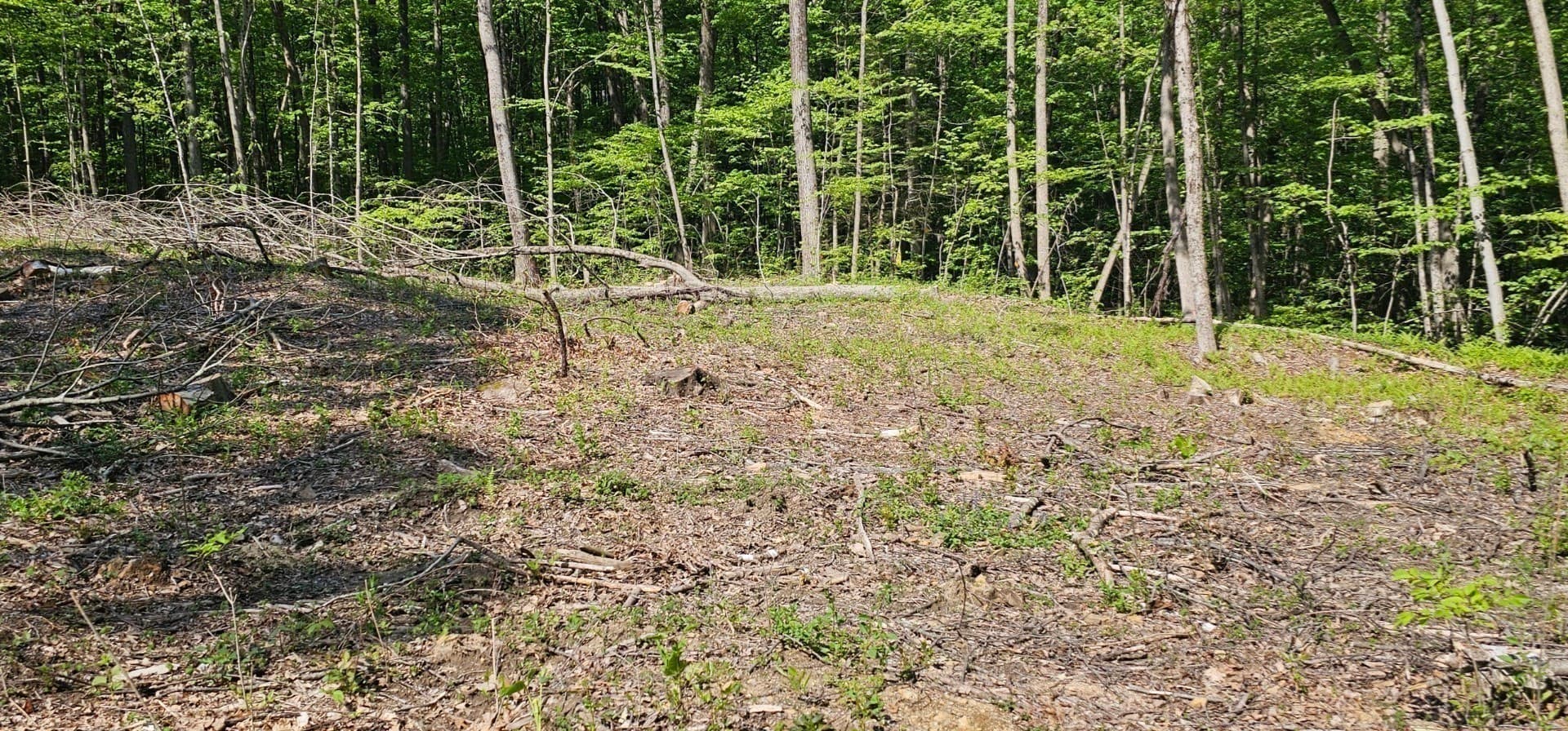 Residential at 12 Carey Road, Sturbridge MA 01566, Sturbridge, photo 12 of 15