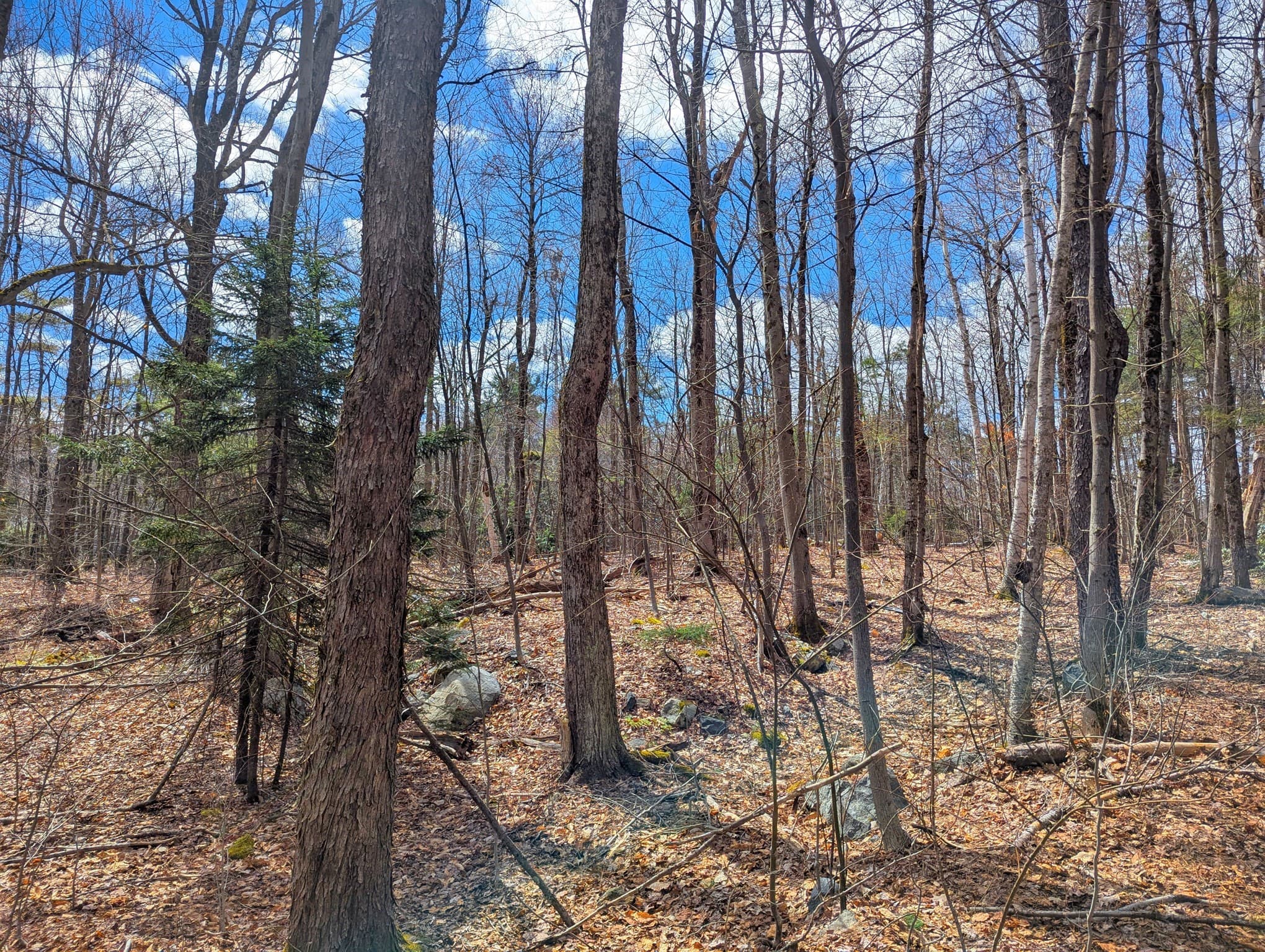 Residential at 0 Johnson Rd, Becket MA 01223, photo 14 of 20