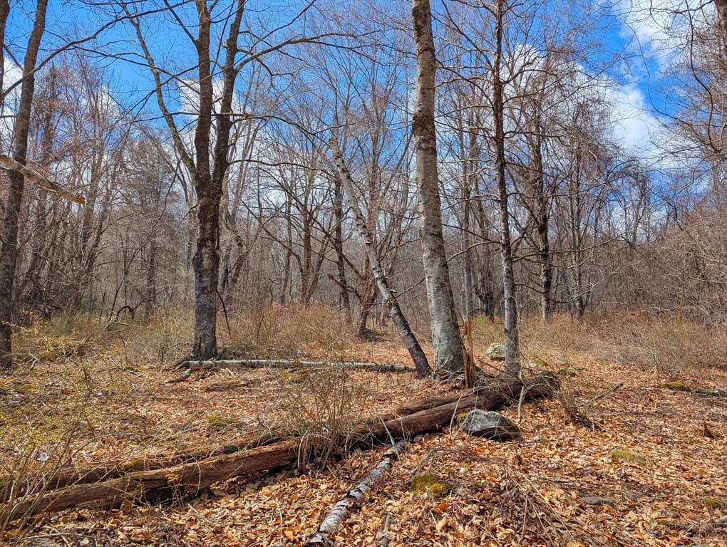 Lot 33.03 William Holmes Rd, Becket MA 01223 photo 14
