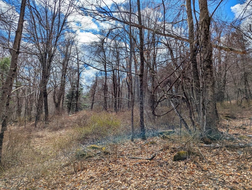 Lot 33.03 William Holmes Rd, Becket MA 01223 photo 15