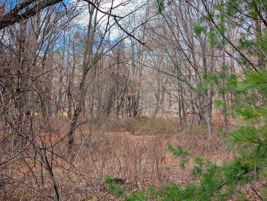Lot 33.03 William Holmes Rd, Becket MA 01223 photo 8