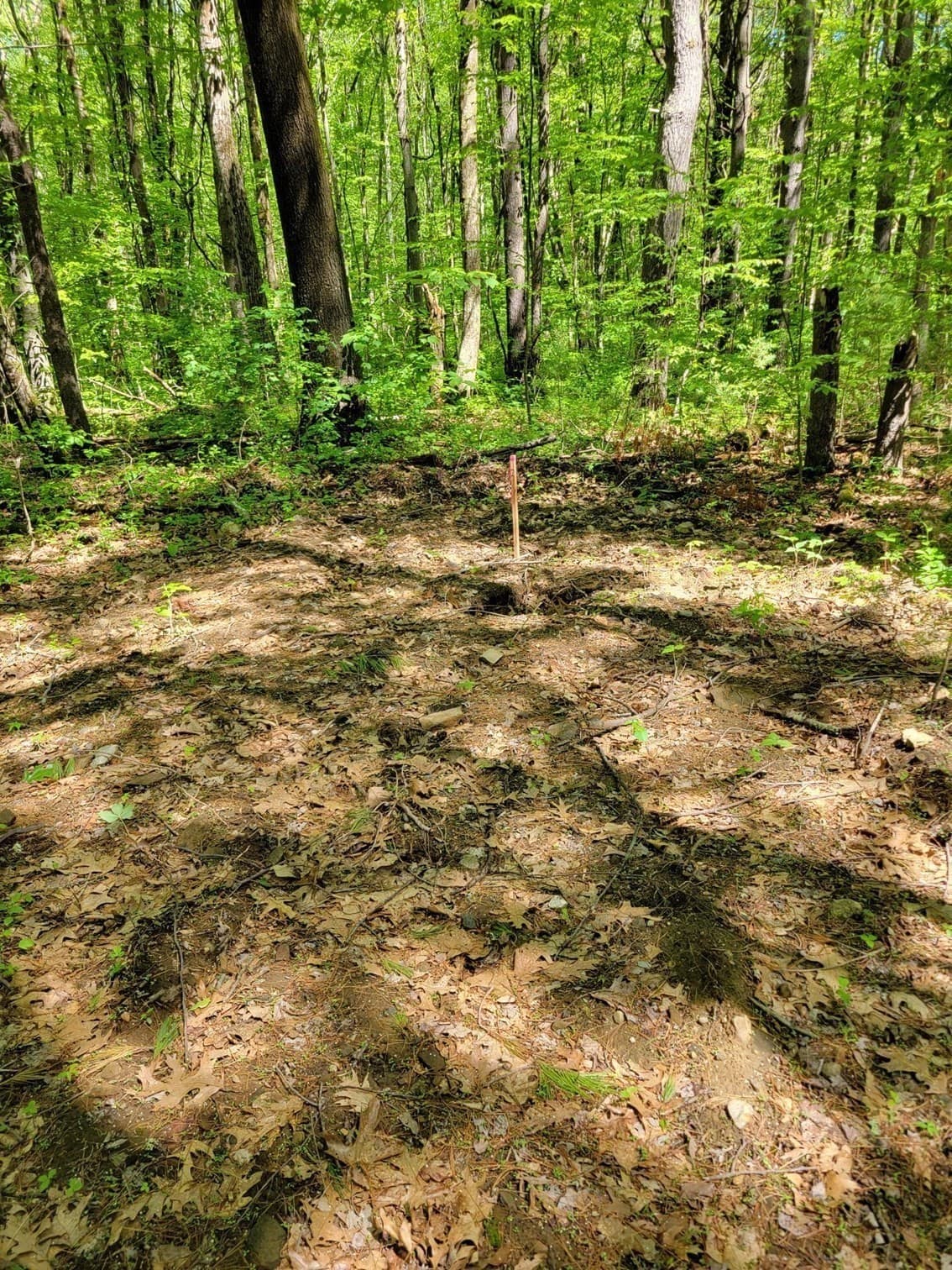 Residential at Lot 5 Daniels Rd, Charlton MA 01507, Charlton, photo 3 of 8
