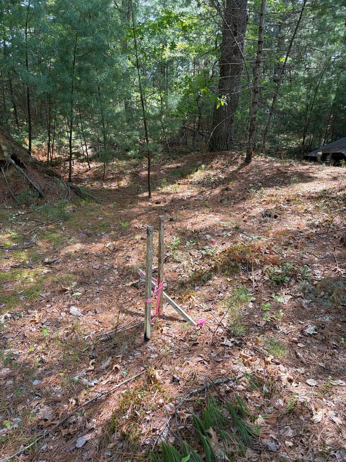 Residential at 35 Silva St, Carver MA 02330, photo 34 of 35