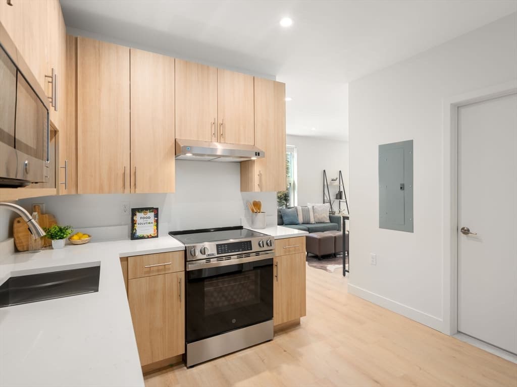 1151 Walnut # 210, Newton MA 02461 photo 6