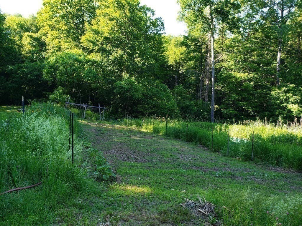 Residential at 31 Goss Hill Rd, Huntington MA 01050, photo 6 of 20