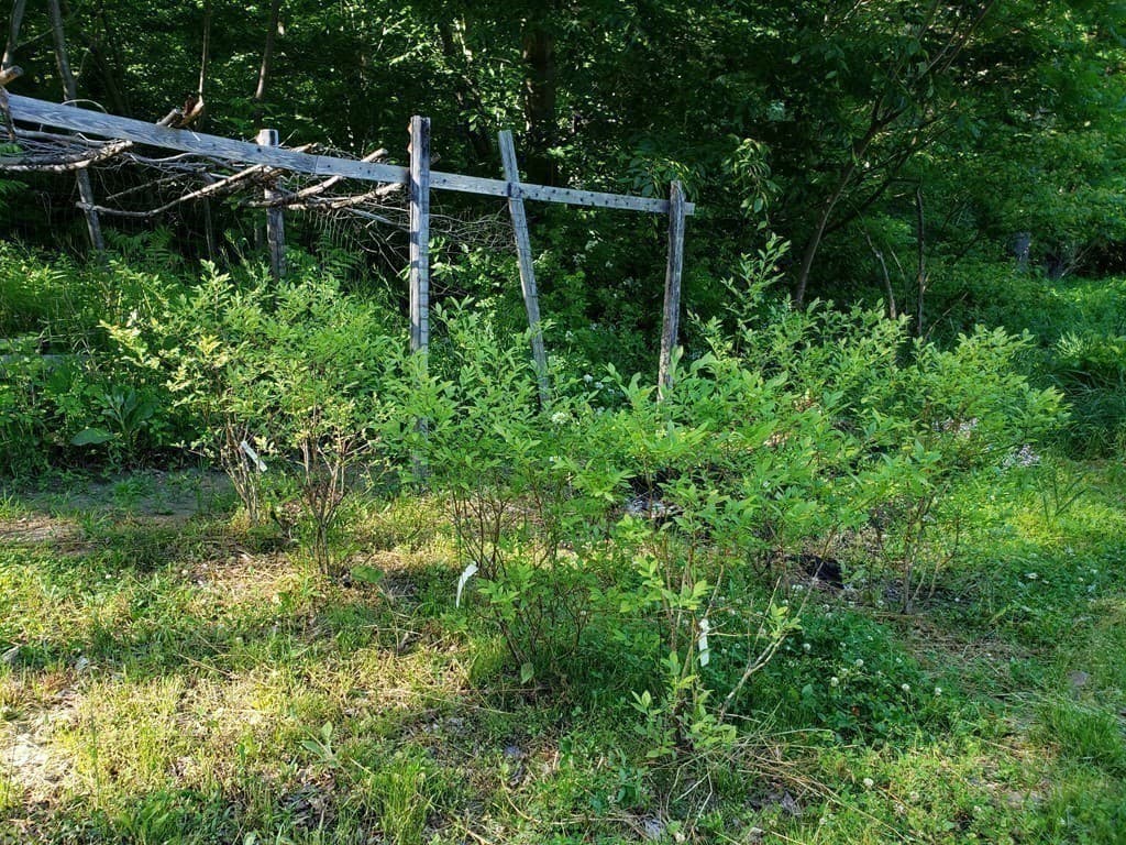 Residential at 31 Goss Hill Rd, Huntington MA 01050, photo 7 of 20