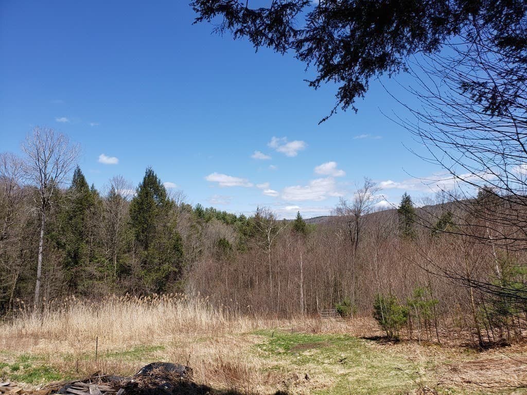 Residential at 31 Goss Hill Rd, Huntington MA 01050, photo 14 of 20