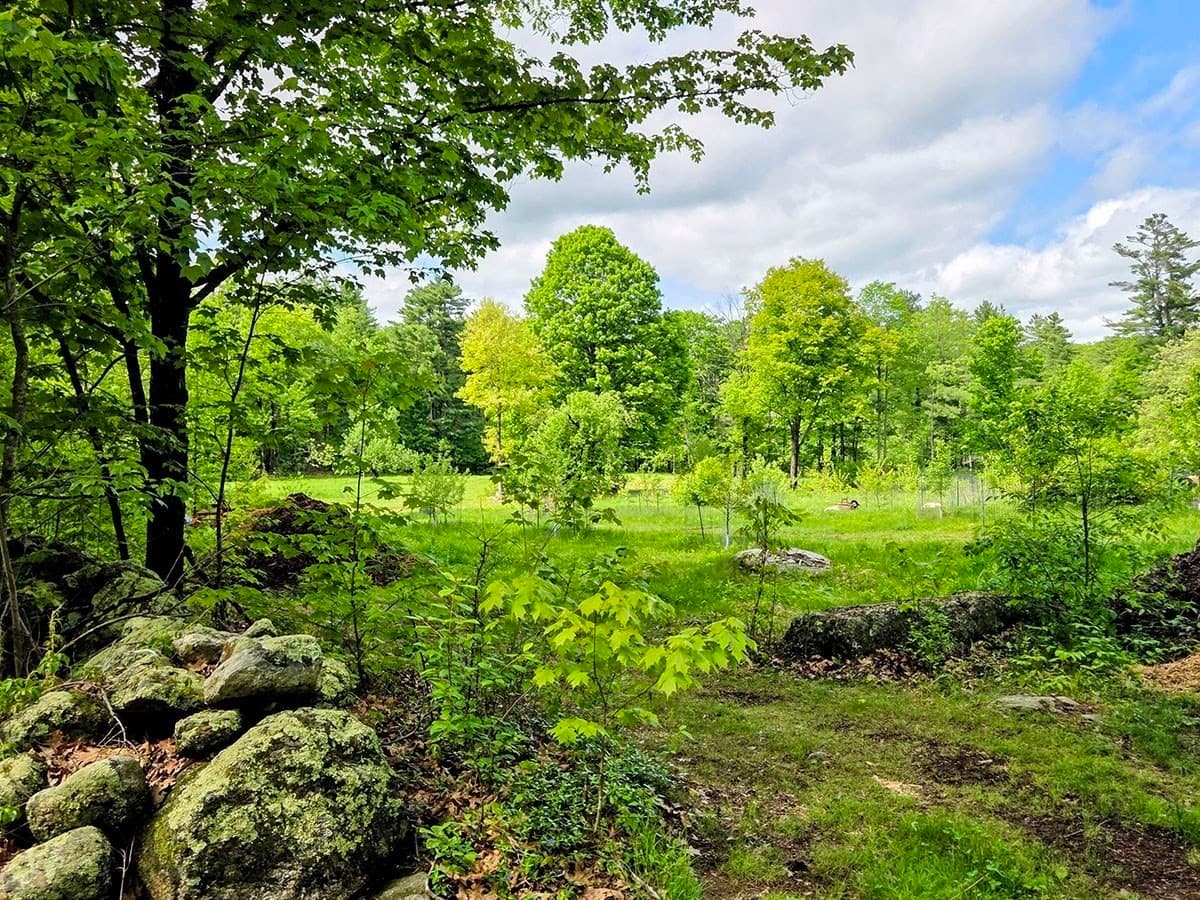 Farm at 130 West Rd, Petersham MA 01366, photo 36 of 42