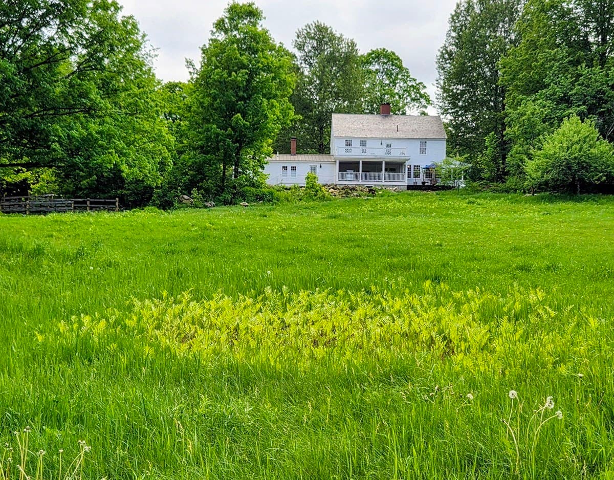 Farm at 130 West Rd, Petersham MA 01366, photo 33 of 42