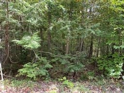 Lot 7&8 Little John, Becket MA 01223