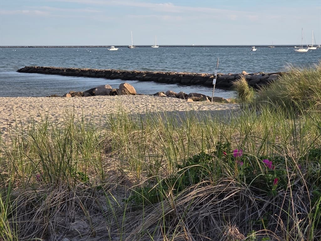 800 Bearses Way, Barnstable MA 02601 photo 14