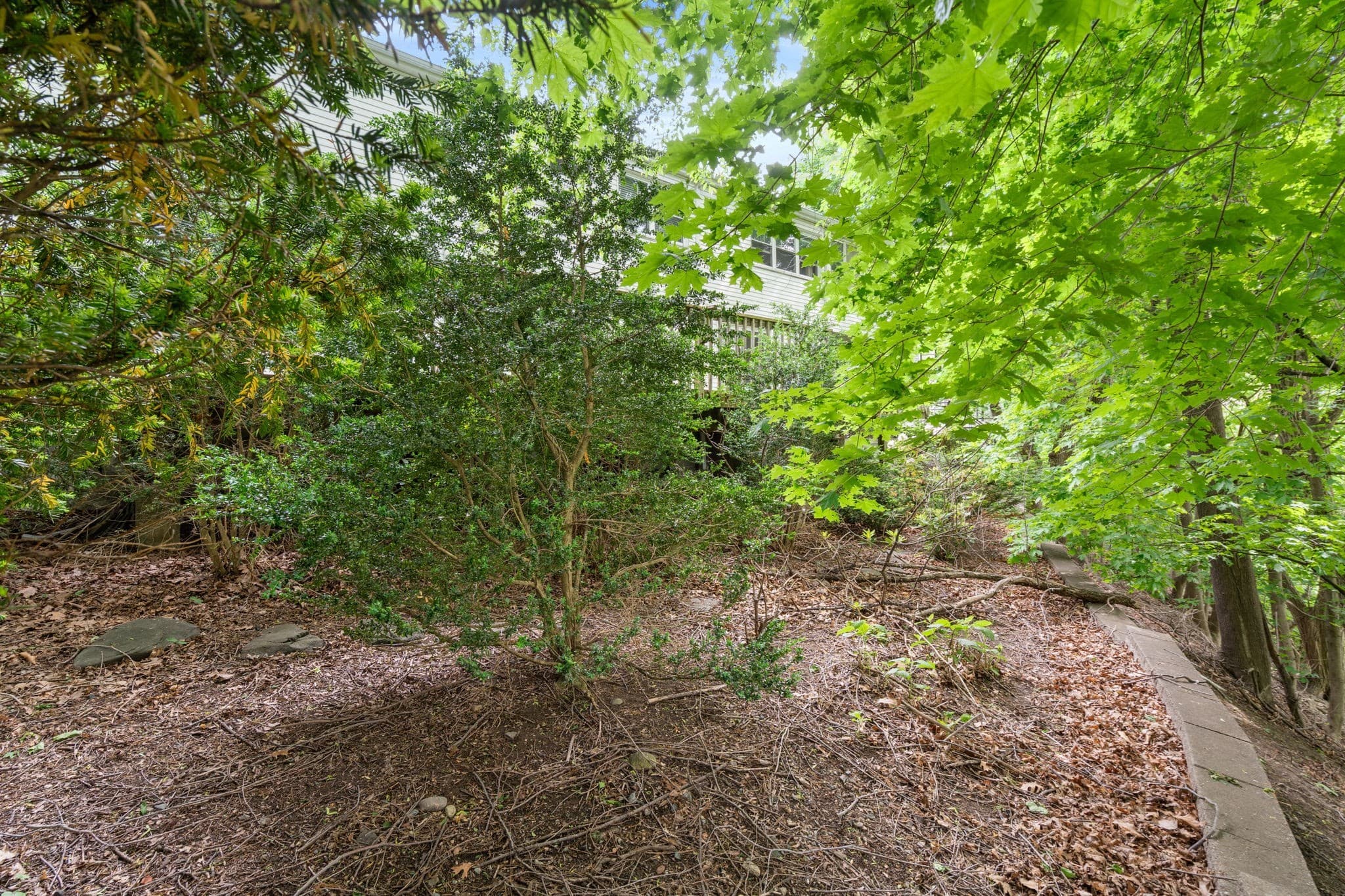 Residential at 104 Oldham Rd, Newton MA 02465, Newton, photo 10 of 10