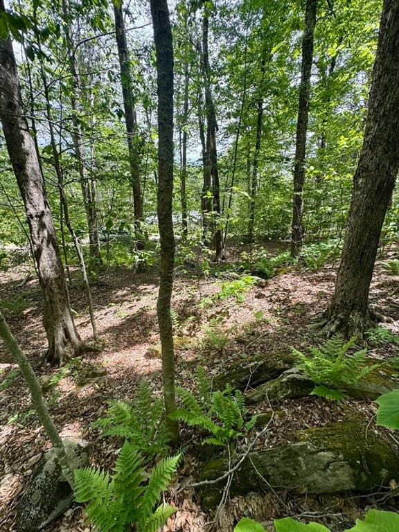 Lot 273 King Richard Dr, Becket MA 01223 photo 23