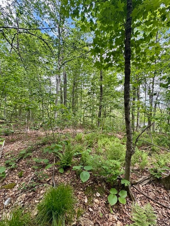 Lot 273 King Richard Dr, Becket MA 01223 photo 13