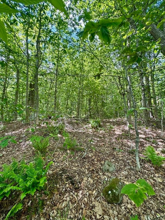 Lot 273 King Richard Dr, Becket MA 01223 photo 22