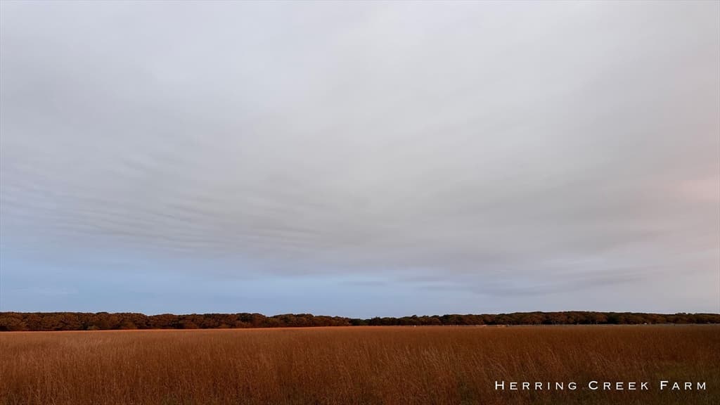 Single Family Residence at 15 Forever Wild Way, Edgartown MA 02539, Edgartown, photo 26 of 29
