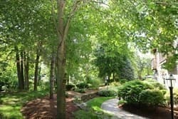 4D Forge Pond # D, Canton MA 02021 photo 38