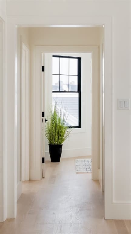 387 Norfolk St # 3, Cambridge MA 02139 photo 15