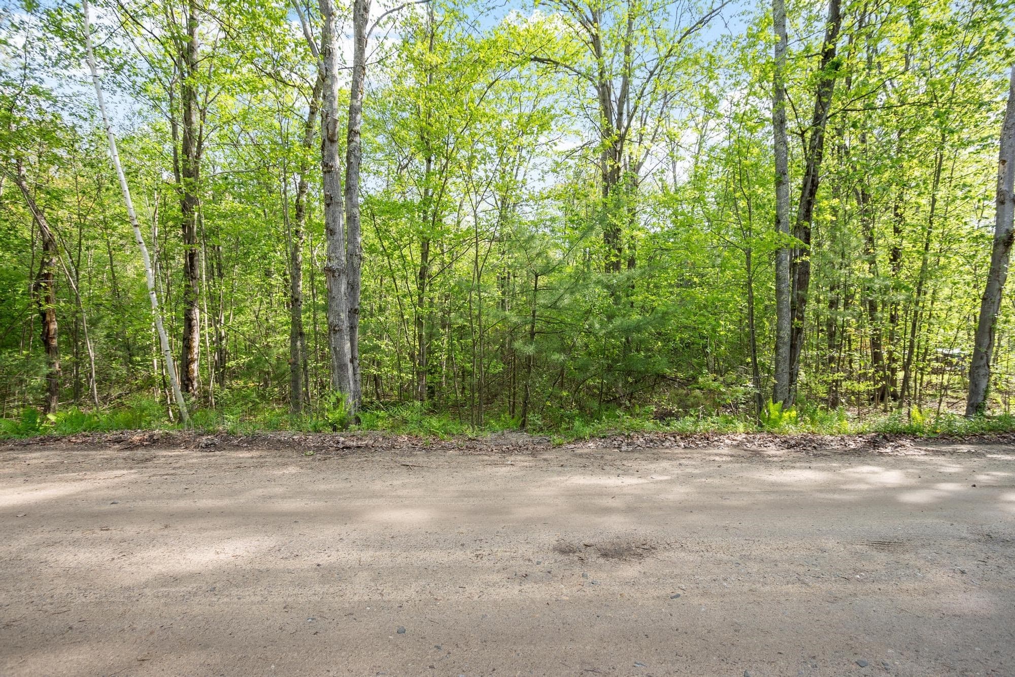 Residential at 0 Whitney Rd, Ashby MA 01431, photo 2 of 14