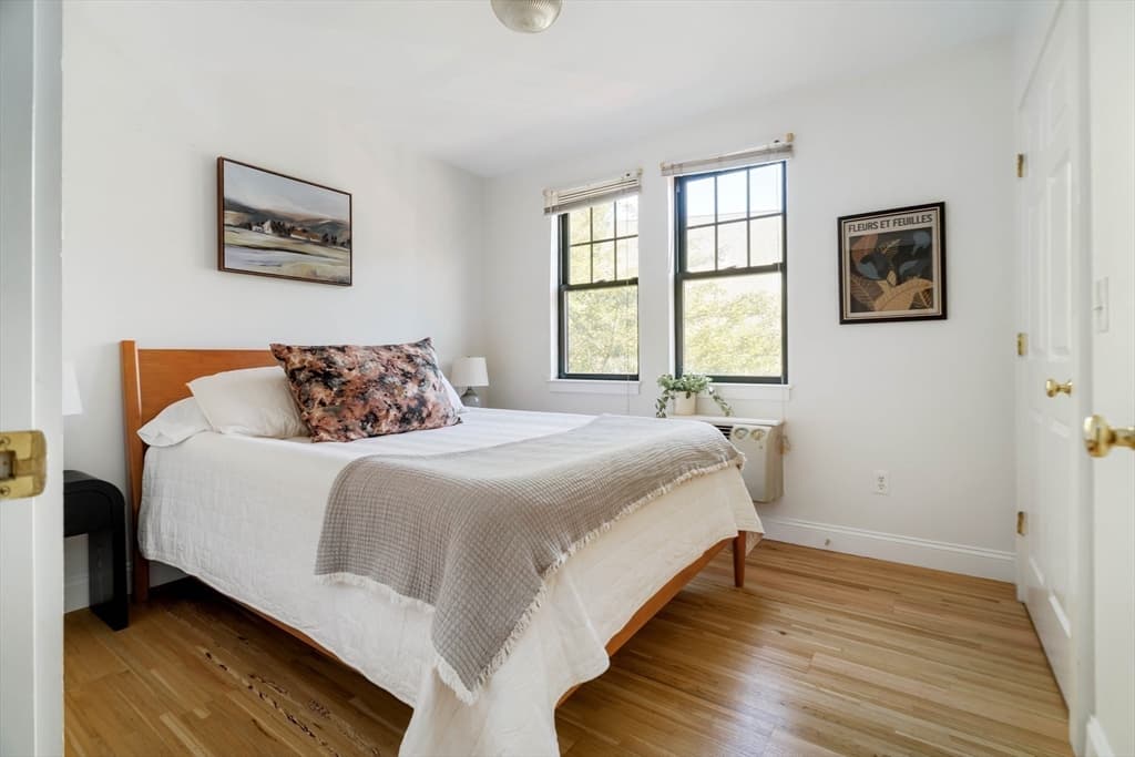 241 River Street # 6, Cambridge MA 02139 photo 14