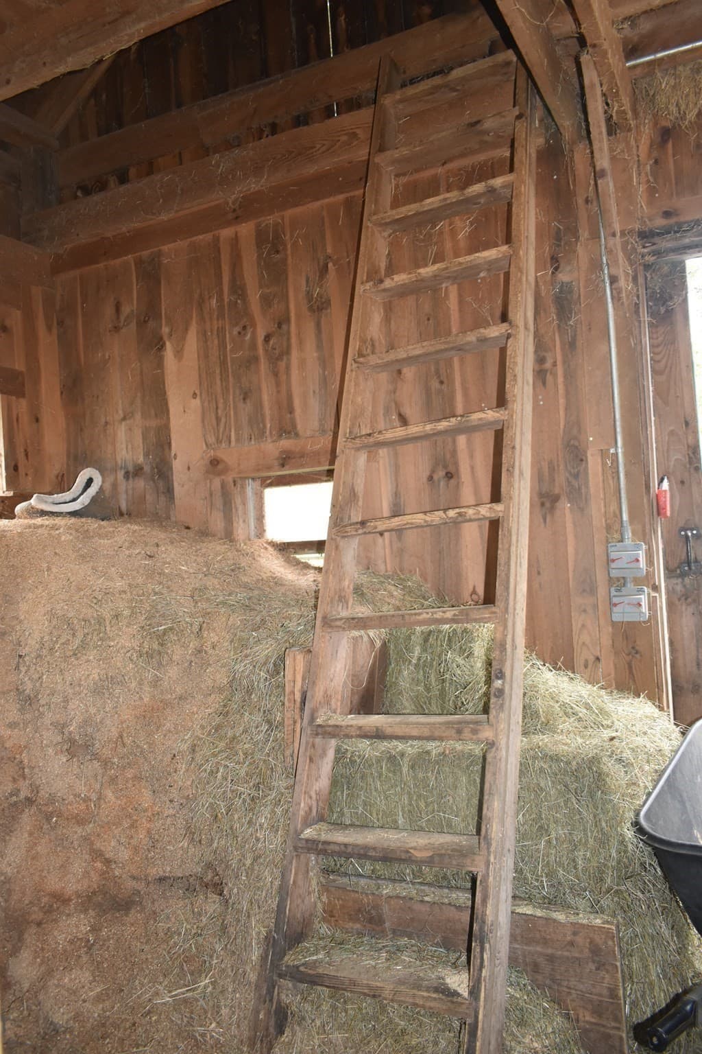 Equestrian at 26 Mill Rd, North Brookfield MA 01535, North Brookfield, photo 14 of 21