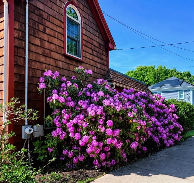 Single Family Residence at 17 Stafford St, Plymouth MA 02360, Plymouth, photo 3 of 41