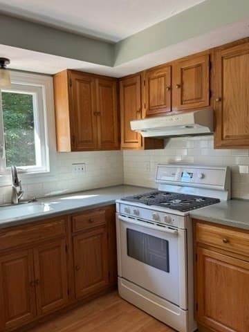 Condominium at 142 Copperwood Dr # 142, Stoughton MA 02072, photo 11 of 28