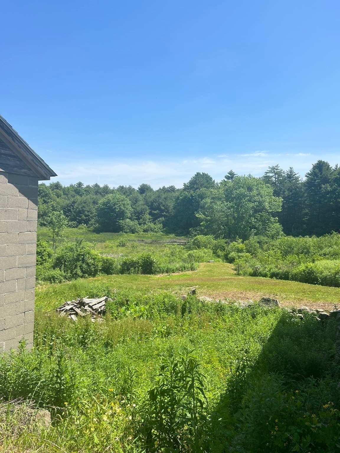 Single Family Residence at 19 Greenwich Plains Rd, Ware MA 01082, photo 7 of 37