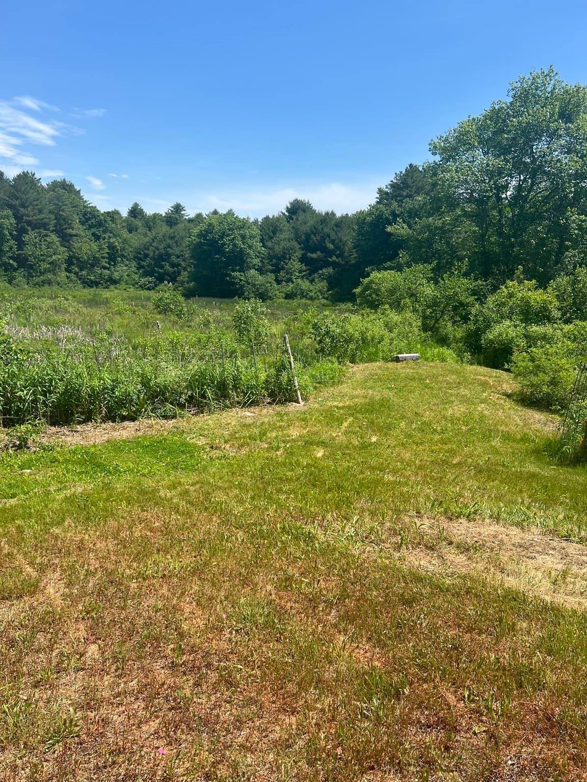 Single Family Residence at 19 Greenwich Plains Rd, Ware MA 01082, photo 10 of 37