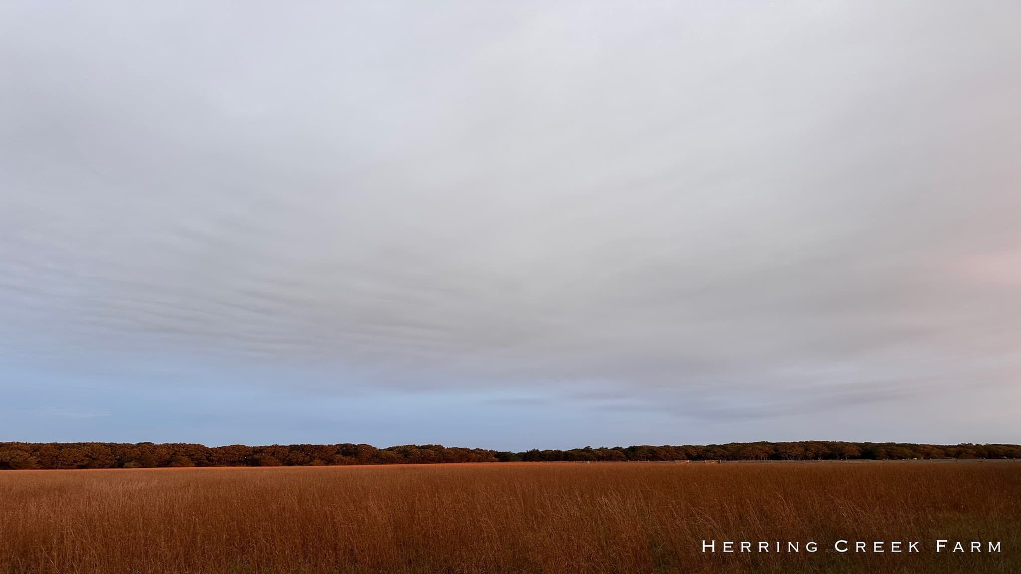 Residential at 57 Butlers Cove Rd, Edgartown MA 02539, photo 11 of 12