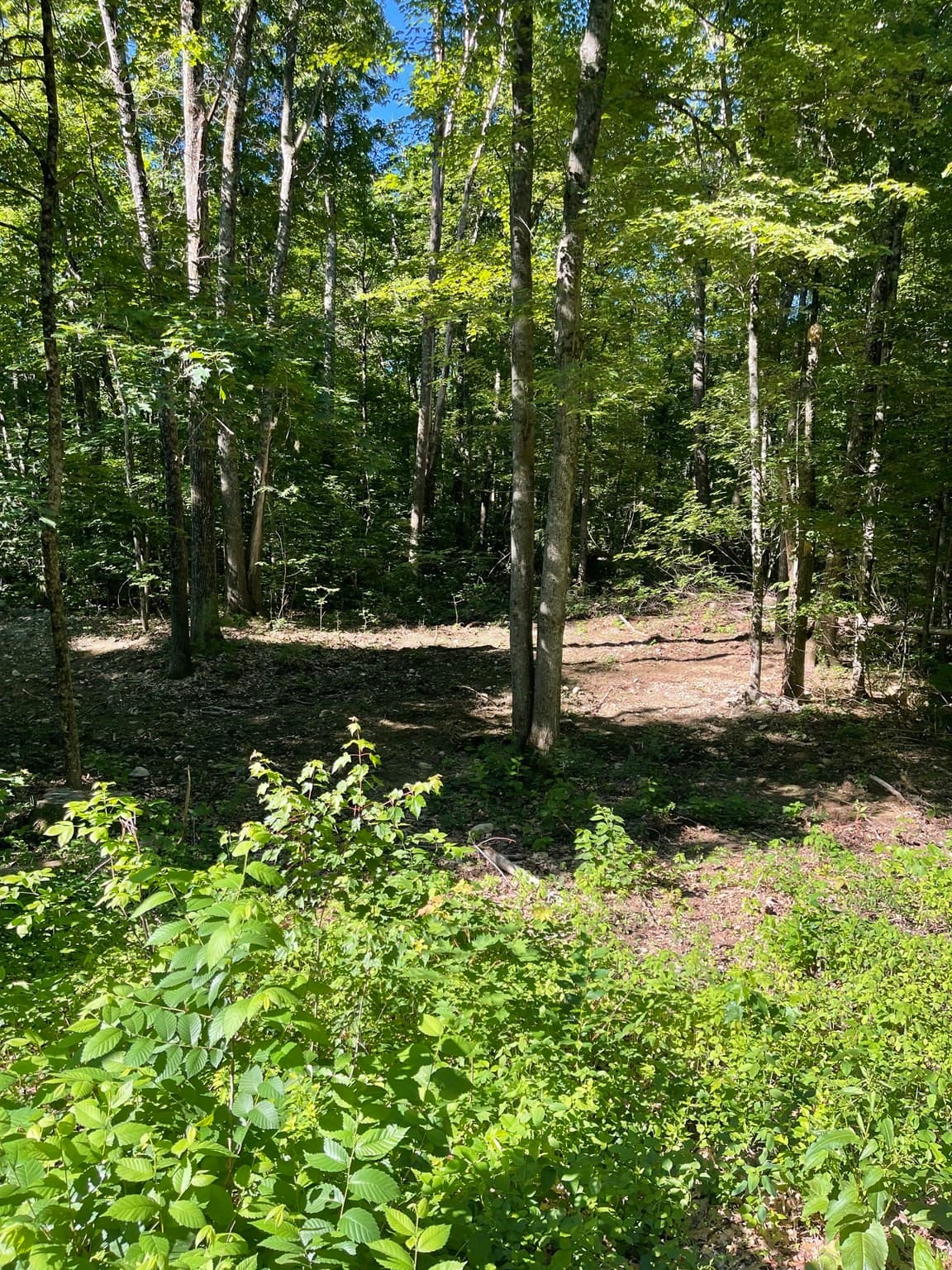 Residential at Lot A Ware Rd, Belchertown MA 01007, photo 4 of 4