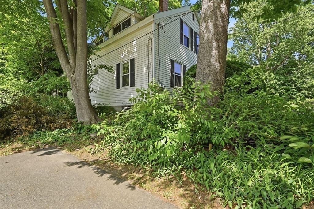 155 Amity St, Amherst MA 01002 photo 33