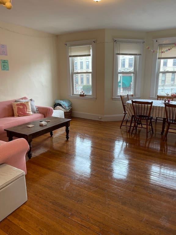 213 Chestnut Hill Ave, Boston MA 02135 photo 10