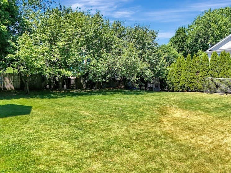 13 Green St, Newton MA 02458 photo 22