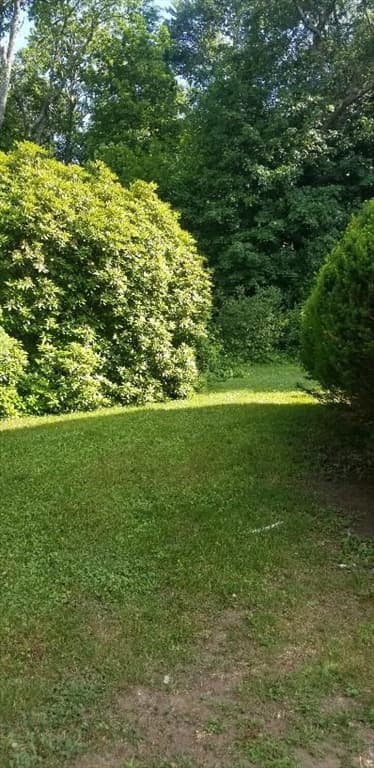 Single Family Residence at 11 Longfellow Rd, Lexington MA 02420, photo 3 of 3