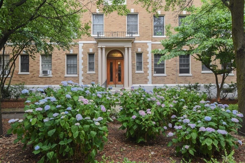 860 Massachusetts Avenue # 8, Cambridge MA 02139 photo 3