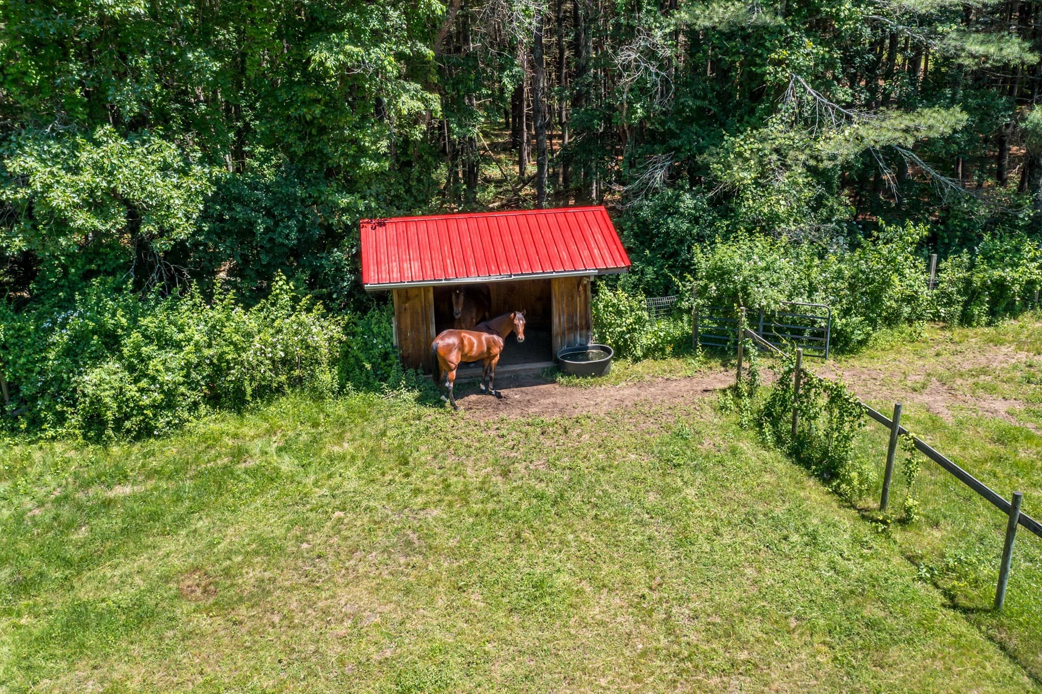 Equestrian at 117 South Street, Upton MA 01568, photo 41 of 42